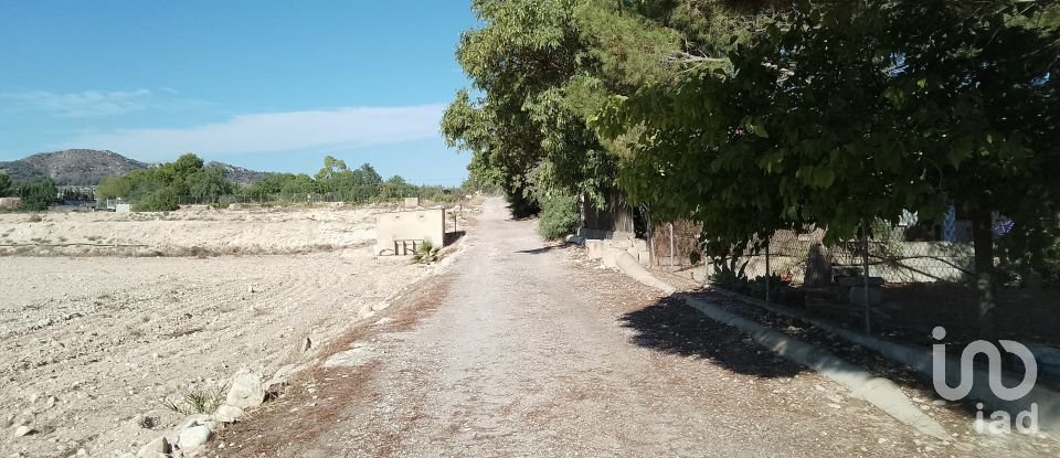 Terreno de 120.000 m² en Novelda (03660)