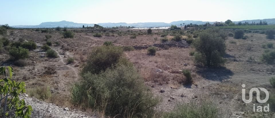 Terreno de 120.000 m² en Novelda (03660)