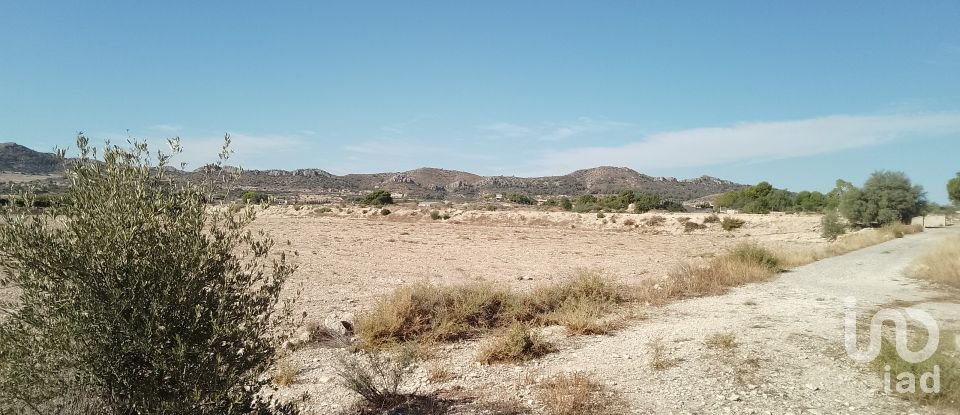 Terreno de 120.000 m² en Novelda (03660)