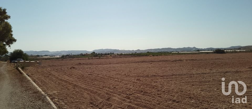 Terreno de 120.000 m² en Novelda (03660)