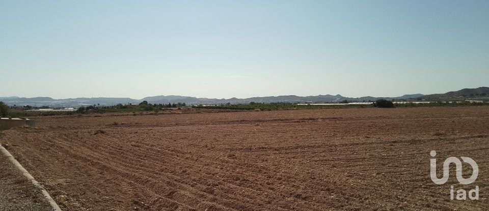 Terreno de 120.000 m² en Novelda (03660)