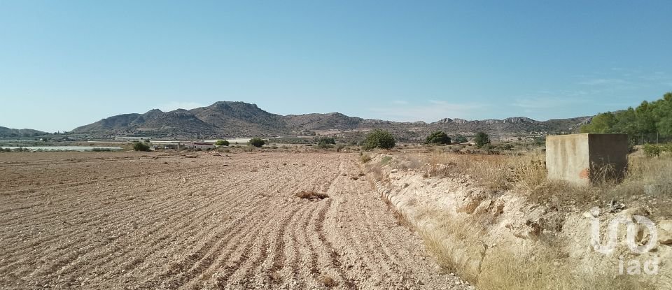 Terreno de 120.000 m² en Novelda (03660)