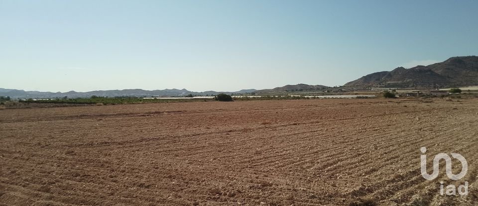 Terreno de 120.000 m² en Novelda (03660)