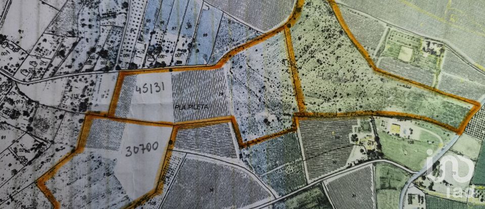 Terreno de 120.000 m² en Novelda (03660)