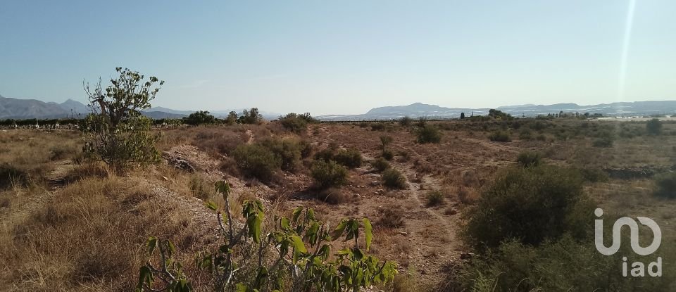 Terreno de 120.000 m² en Novelda (03660)