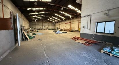 Superfície variada de 900 m² a Poligono Villacedre (24009)