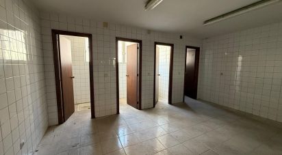 Superfície variada de 900 m² a Poligono Villacedre (24009)