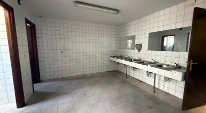 Superfície variada de 900 m² a Poligono Villacedre (24009)