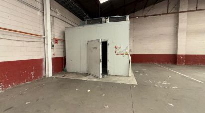 Superfície variada de 889 m² a Poligono Villacedre (24009)