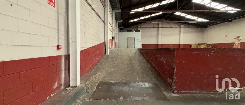 Varias superficies de 889 m² en Poligono Villacedre (24009)