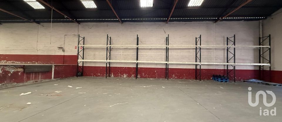 Varias superficies de 889 m² en Poligono Villacedre (24009)