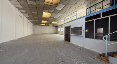 Tienda / local comercial de 602 m² en Poligono Villacedre (24009)