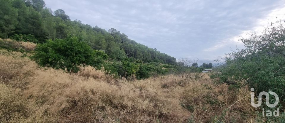 Land of 6 m² in Benifallet (43512)