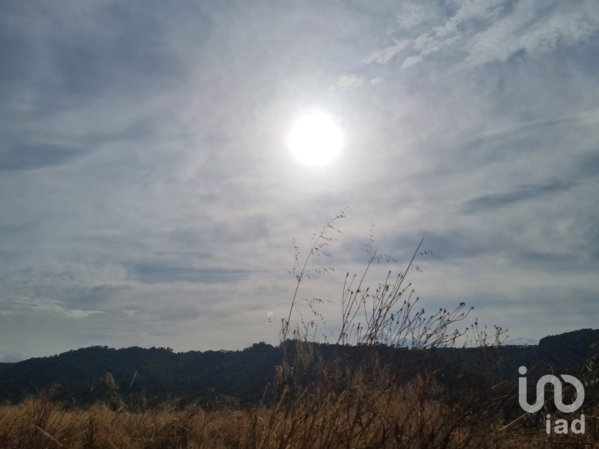 Land of 2,438 m² in Benifallet (43512)