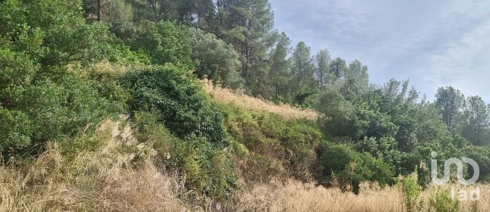 Land of 2,438 m² in Benifallet (43512)