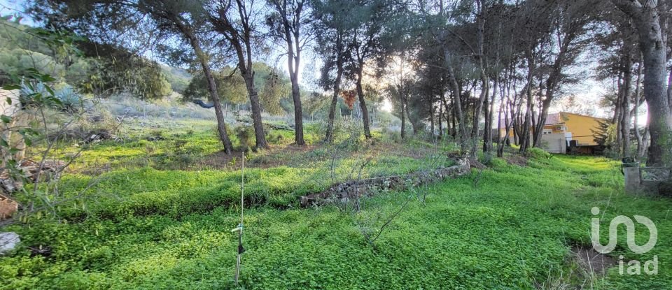 Terreny urbà de 1.308 m² a Alhaurín de la Torre (29130)