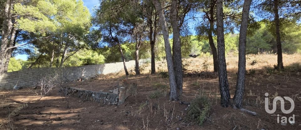 Terreny urbà de 1.308 m² a Alhaurín de la Torre (29130)