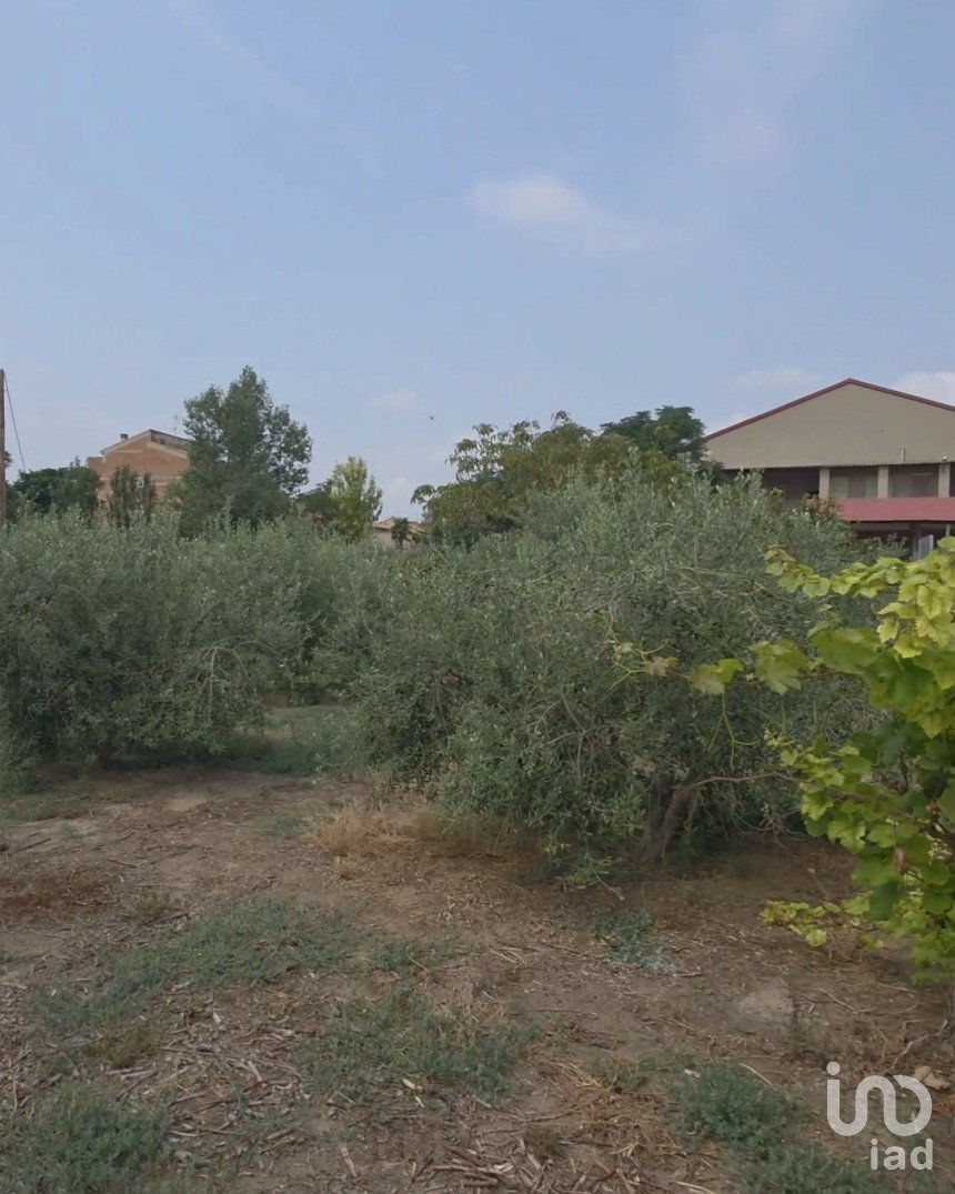 Terreno de 485 m² en Castellsera (25334)