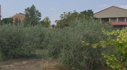 Land of 485 m² in Castellsera (25334)