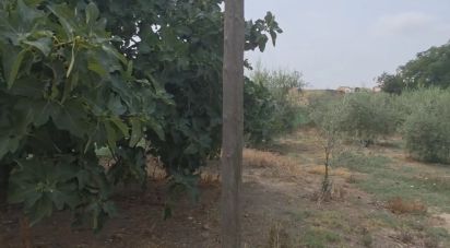 Land of 485 m² in Castellsera (25334)