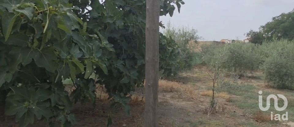 Terreno de 485 m² en Castellsera (25334)