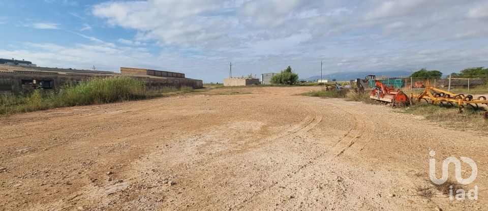 Terreny de 5.677 m² a Sant Jaume d'Enveja (43877)