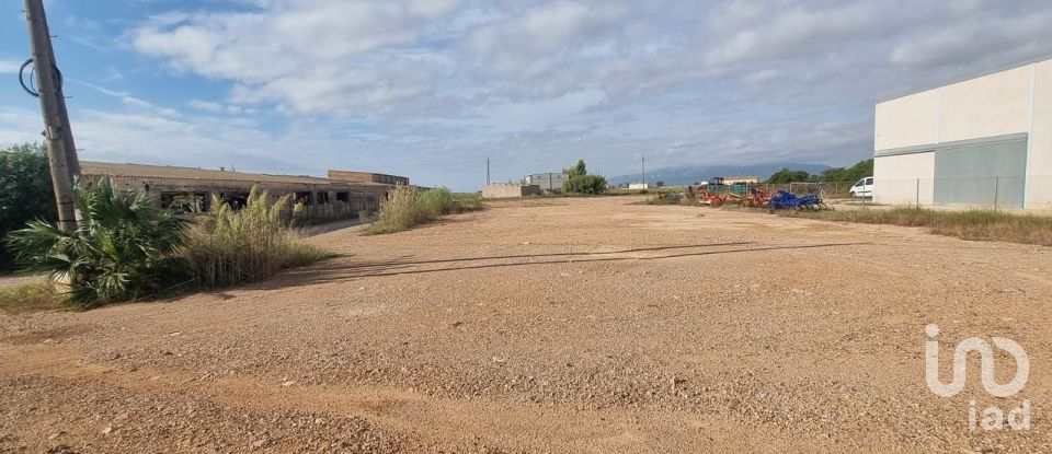 Terreny de 5.677 m² a Sant Jaume d'Enveja (43877)