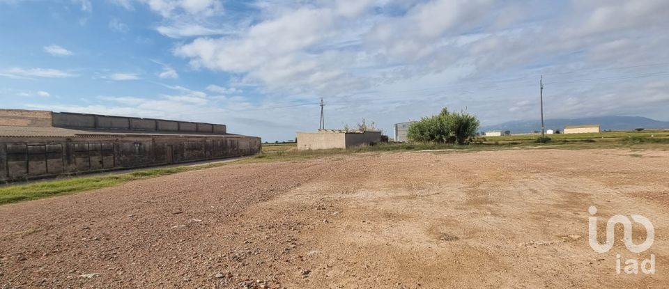 Terreny de 5.677 m² a Sant Jaume d'Enveja (43877)