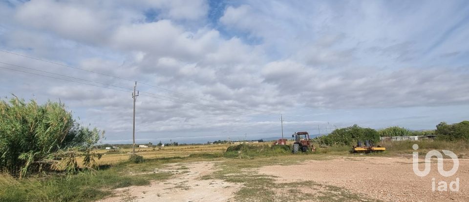 Terreny de 5.677 m² a Sant Jaume d'Enveja (43877)