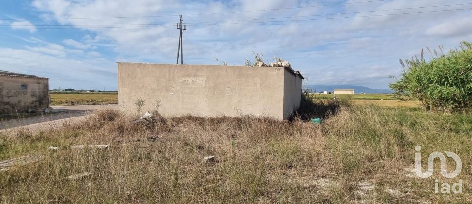 Terreny de 5.677 m² a Sant Jaume d'Enveja (43877)