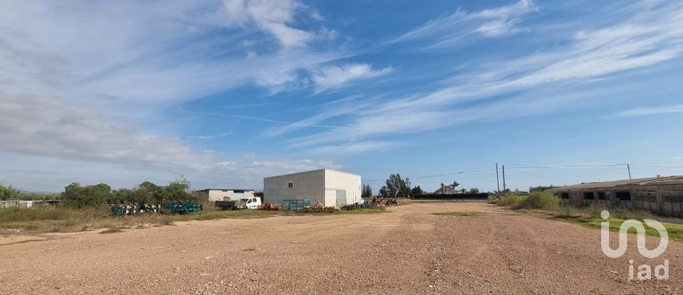 Terreny de 5.677 m² a Sant Jaume d'Enveja (43877)