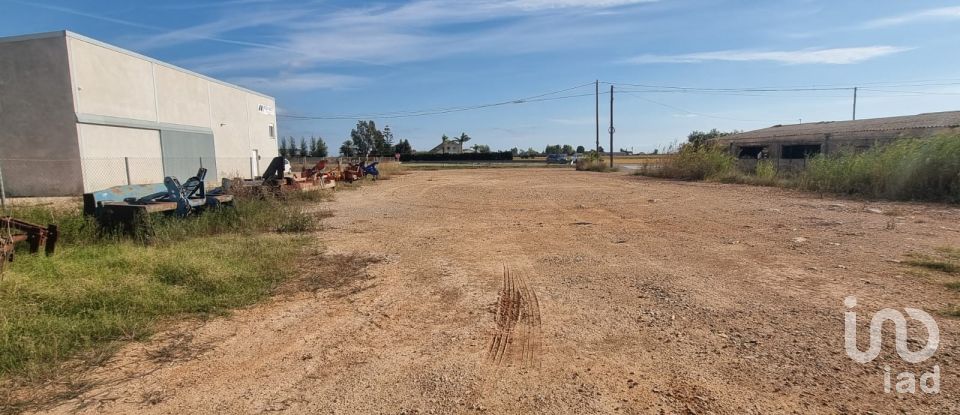 Terreny de 5.677 m² a Sant Jaume d'Enveja (43877)