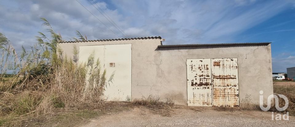 Terreny de 5.677 m² a Sant Jaume d'Enveja (43877)