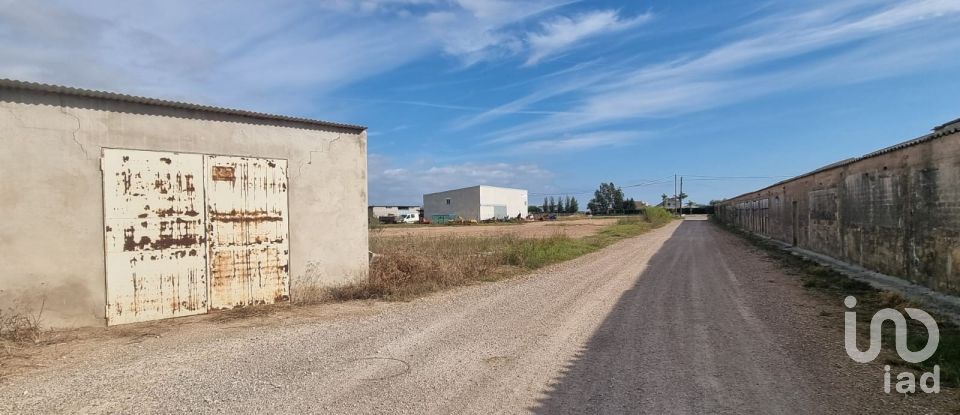 Terreny de 5.677 m² a Sant Jaume d'Enveja (43877)