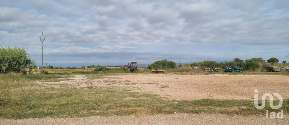 Terreny de 5.677 m² a Sant Jaume d'Enveja (43877)