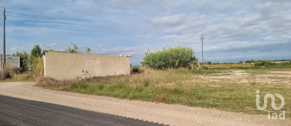 Terreny de 5.677 m² a Sant Jaume d'Enveja (43877)