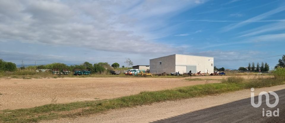 Terreny de 5.677 m² a Sant Jaume d'Enveja (43877)