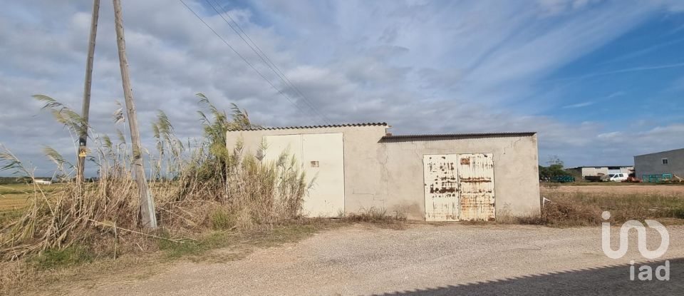 Terreny de 5.677 m² a Sant Jaume d'Enveja (43877)