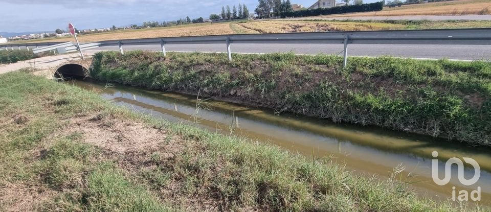 Terreny de 5.677 m² a Sant Jaume d'Enveja (43877)