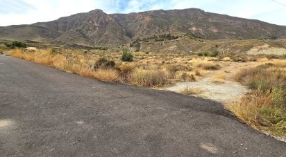 Farm land of 16,900 m² in Illar (04431)