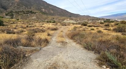 Farm land of 16,900 m² in Illar (04431)