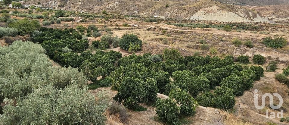 Terreny agrícola de 16.900 m² a Illar (04431)