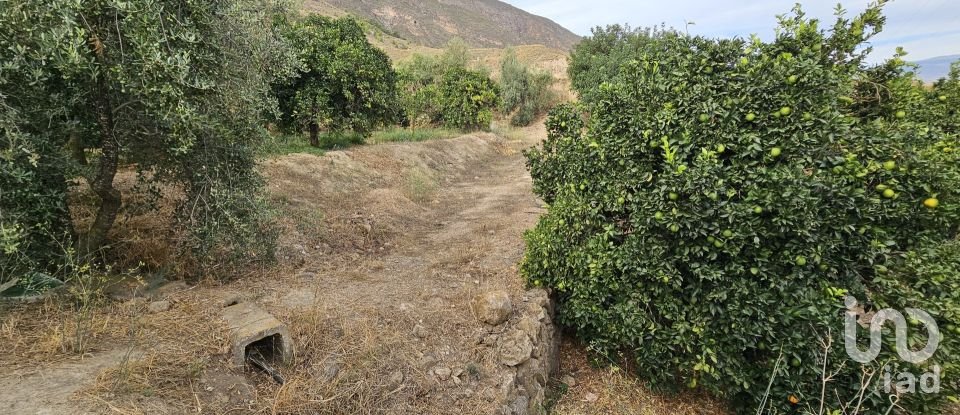 Terreny agrícola de 16.900 m² a Illar (04431)