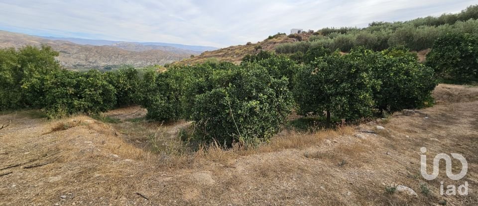Terreny agrícola de 16.900 m² a Illar (04431)