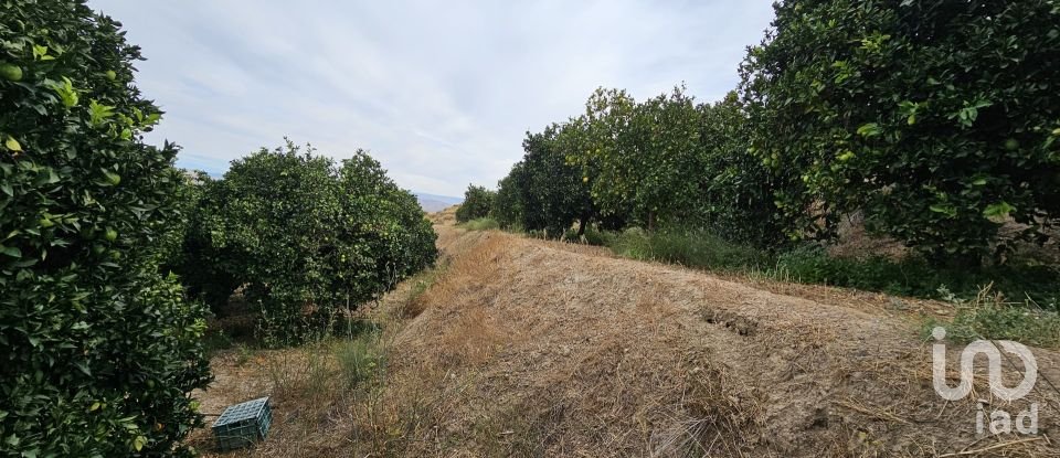 Terreny agrícola de 16.900 m² a Illar (04431)