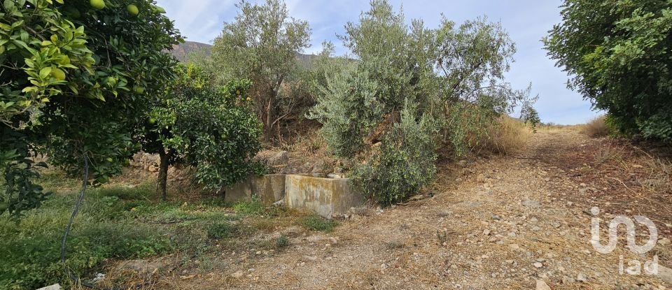 Terreny agrícola de 16.900 m² a Illar (04431)