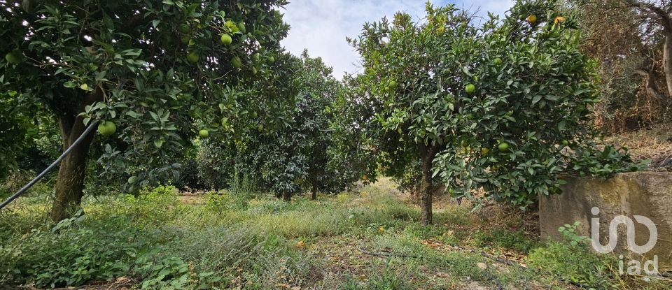 Terreny agrícola de 16.900 m² a Illar (04431)