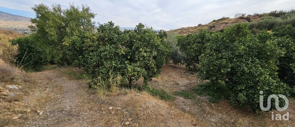 Terreny agrícola de 16.900 m² a Illar (04431)