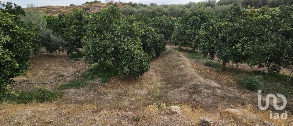 Terreny agrícola de 16.900 m² a Illar (04431)
