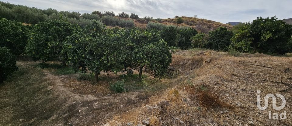 Terreny agrícola de 16.900 m² a Illar (04431)